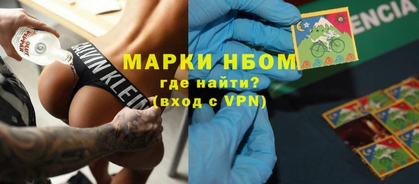 шишки Аркадак