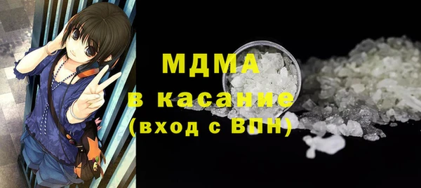 шишки Аркадак