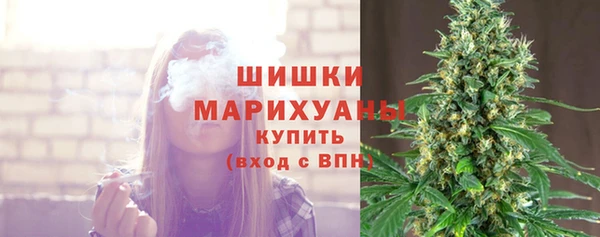 шишки Аркадак