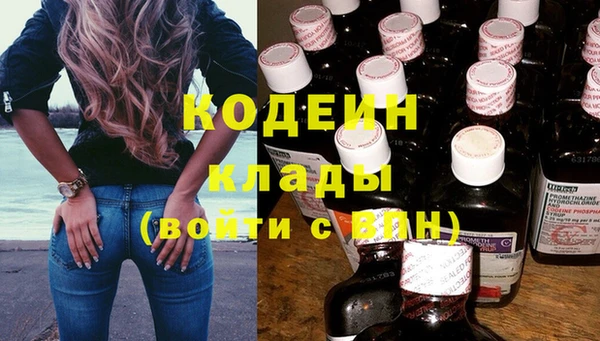 шишки Аркадак