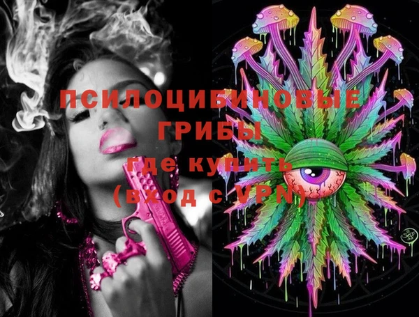 трава Новозыбков