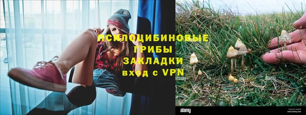 шишки Аркадак