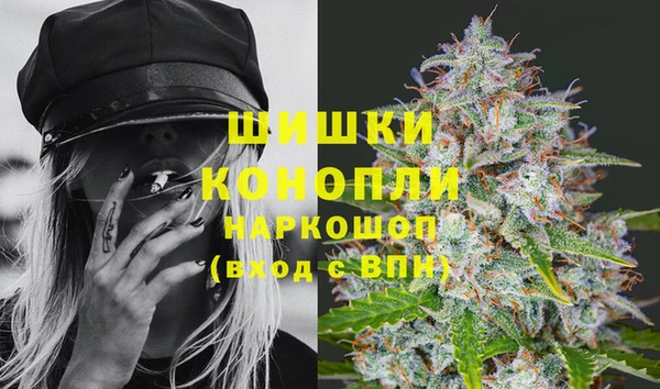 шишки Аркадак