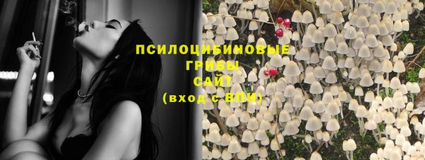 дживик Армянск
