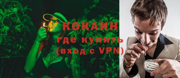 шишки Аркадак