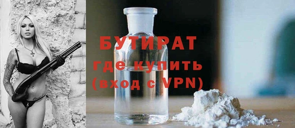 шишки Аркадак