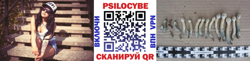 Галлюциногенные грибы мухоморы  Чудово 